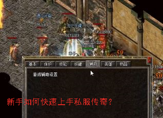 新手如何快速上手私服传奇? 新手如何快速上手私服传奇?