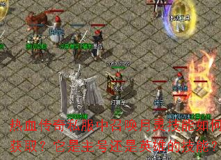 ��Ѫ����˽�����ٻ����鼼����λ�ȡ���������Ż���Ӣ�۵ļ��ܣ�