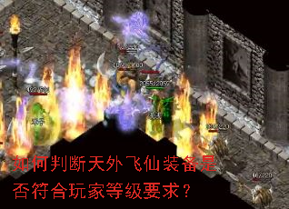 ����ж��������װ���Ƿ������ҵȼ�Ҫ��