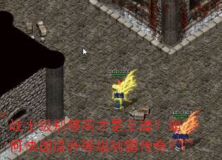 战士级别够高才是王道?如何快速提升等级制霸传奇? 战士级别够高才是王道?如何快速提升等级制霸传奇?