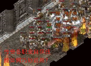 �����ְҵ�Ա���������������ã�