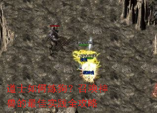 ��ʿ����������ٻ����޵����ʵ��ȫ����