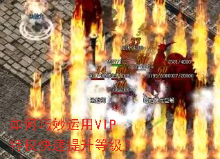 如何巧妙运用VIP特权快速提升等级? 如何巧妙运用VIP特权快速提升等级?