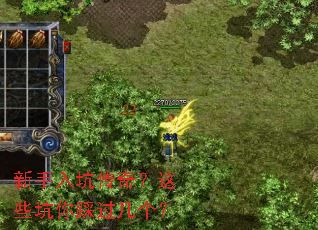 ������Ӵ��棿��Щ����ȹ�������