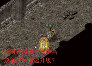 �������Ѫ�����и�Чˢ�������������