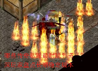 ��Щ����˽�������棿��������̵㳤���ȶ��汾