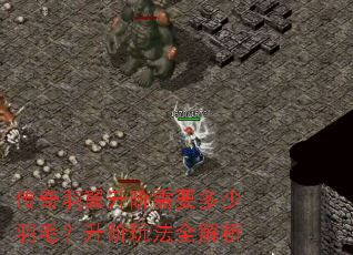 ��������������Ҫ������ë�������淨ȫ����