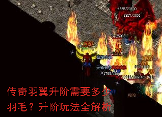 ��������������Ҫ������ë�������淨ȫ����