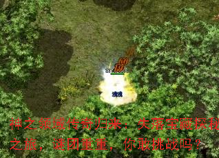 ��֮�����������ʧ�䱦��̽��֮�ã��������أ������ս��