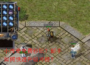 С����������棿������ο����������