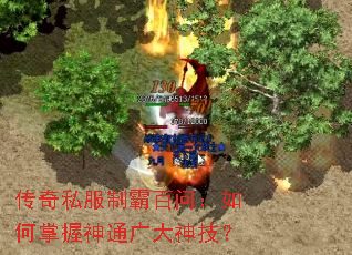 ����˽���ư԰��ʣ����������ͨ����񼼣�