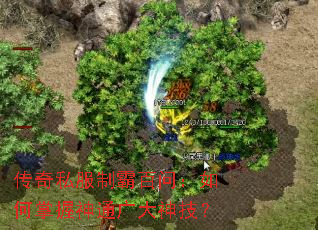 ����˽���ư԰��ʣ����������ͨ����񼼣�