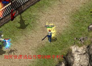 ��ο�����Ӧ����GM���ִ壿