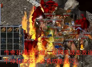 ����˽�����棺��θ�Ч�����������BOSS���ؿ����Լ���