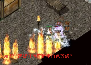 如何快速提升传奇新手角色等级? 如何快速提升传奇新手角色等级?