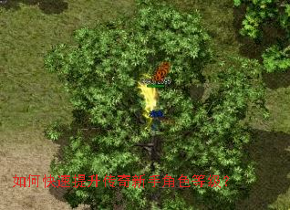 如何快速提升传奇新手角色等级? 如何快速提升传奇新手角色等级?