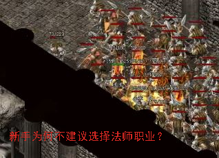 新手为何不建议选择法师职业? 新手为何不建议选择法师职业?