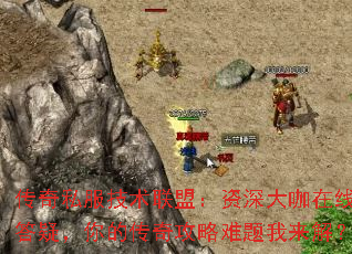 传奇私服技术联盟:资深大咖在线答疑,你的传奇攻略难题我来解? 传奇私服技术联盟:资深大咖在线答疑,你的传奇攻略难题我来解?