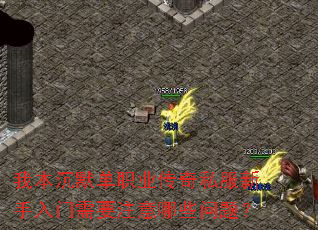 �ұ���Ĭ��ְҵ����˽������������Ҫע����Щ���⣿