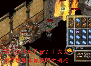 ����ǮҲ�ܳưԣ�ʮ�����Ĵ���˽����봹��Դ����