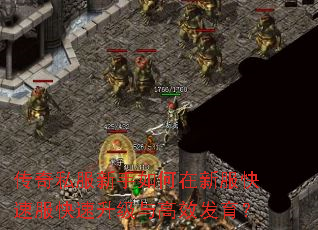 ����˽������������·����ٷ������������Ч������