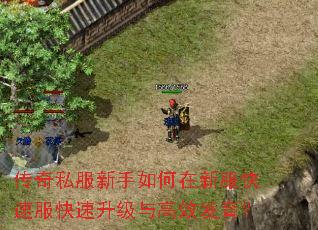 ����˽������������·����ٷ������������Ч������