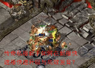 ����˽������������·����ٷ������������Ч������