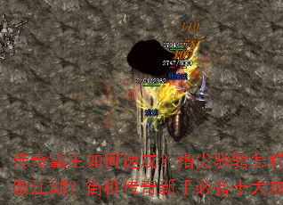 �����������ٳɣ�ָ��۳�����Ц���������ֻ��������ֱر�ʮ����