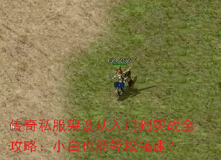 ����˽����������ŵ�ʵսȫ���ԣ�С��Ҳ�����ɴ��