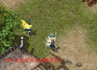 ��ο��ٻ��Ӣ�۾����飿