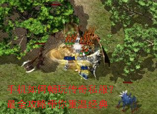 �ֻ���γ��洫��˽������ȫ���Դ������¾���