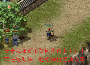 ����˽��������ο������֣����������������ɳ��澭�乥��