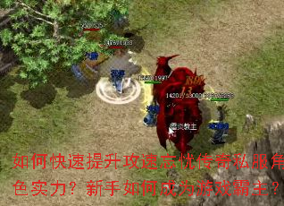 ��ο��������������Ǵ���˽����ɫʵ����������γ�Ϊ��Ϸ������