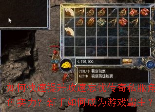 ��ο��������������Ǵ���˽����ɫʵ����������γ�Ϊ��Ϸ������