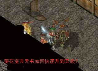 ��������������ο��������弶��