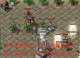 ������ʧ�����������ο��ٿ��ģ���սɳ�Ϳ�����Щ��ɱ����