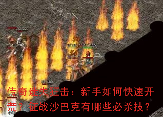 ������ʧ�����������ο��ٿ��ģ���սɳ�Ϳ�����Щ��ɱ����