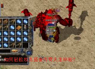 ������ɹ��������������