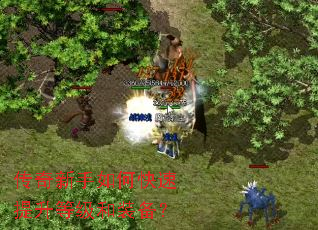 ����������ο��������ȼ���װ����