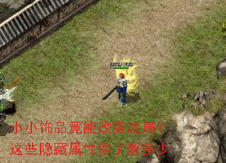 СС��Ʒ���ܸı�ս�֣���Щ�����������˽����