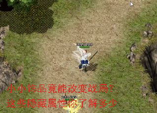 СС��Ʒ���ܸı�ս�֣���Щ�����������˽����