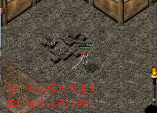 Ϊʲôѡ�����ʿ������������½���