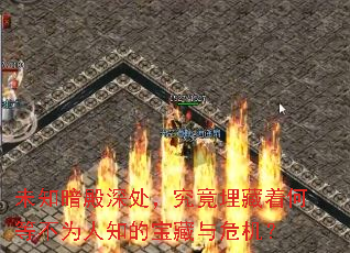 δ֪���������������źεȲ�Ϊ��֪�ı�����Σ����