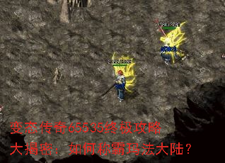 ��̬����65535�ռ����Դ���ܣ���γư��귨��½��