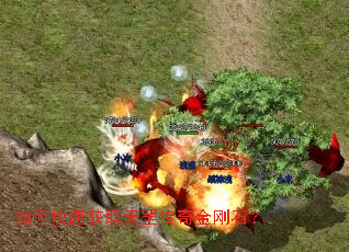 ��ο��ٻ�ȡ�������ʯ��