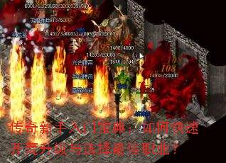 �����������ű��䣺��ο��ٿ���������ѡ�����ְҵ��