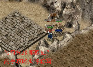 ����˽���ļ�ǿ�����ֹ�������ư�