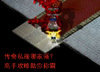 ����˽���ļ�ǿ�����ֹ�������ư�