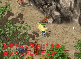 传奇世界制霸秘籍?新手如何快速称霸玛法大陆? 传奇世界制霸秘籍?新手如何快速称霸玛法大陆?