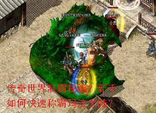 传奇世界制霸秘籍?新手如何快速称霸玛法大陆? 传奇世界制霸秘籍?新手如何快速称霸玛法大陆?